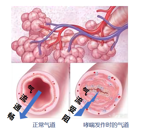 &#24320;&#20113;&#40;&#20013;&#22269;&#41;&#75;&#97;&#105;&#121;&#117;&#110;