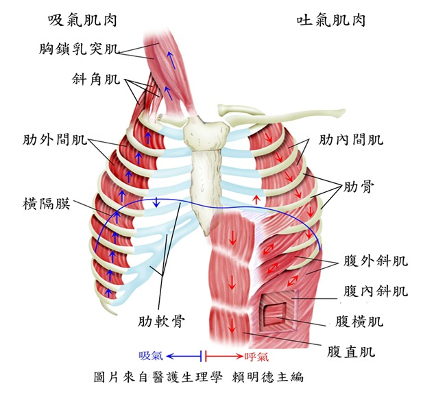 &#24320;&#20113;&#40;&#20013;&#22269;&#41;&#75;&#97;&#105;&#121;&#117;&#110;