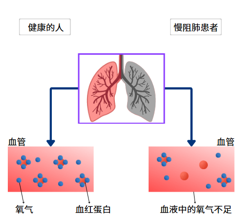 &#24320;&#20113;&#40;&#20013;&#22269;&#41;&#75;&#97;&#105;&#121;&#117;&#110;